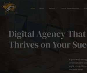 Digital Merketing Agency in Sitapur