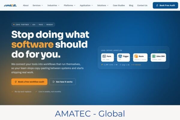 Workflow Automation & AI Consultant Website design by Anvitech.in